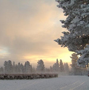 Januar-Retreat. Natur, Stille und neue Kraft